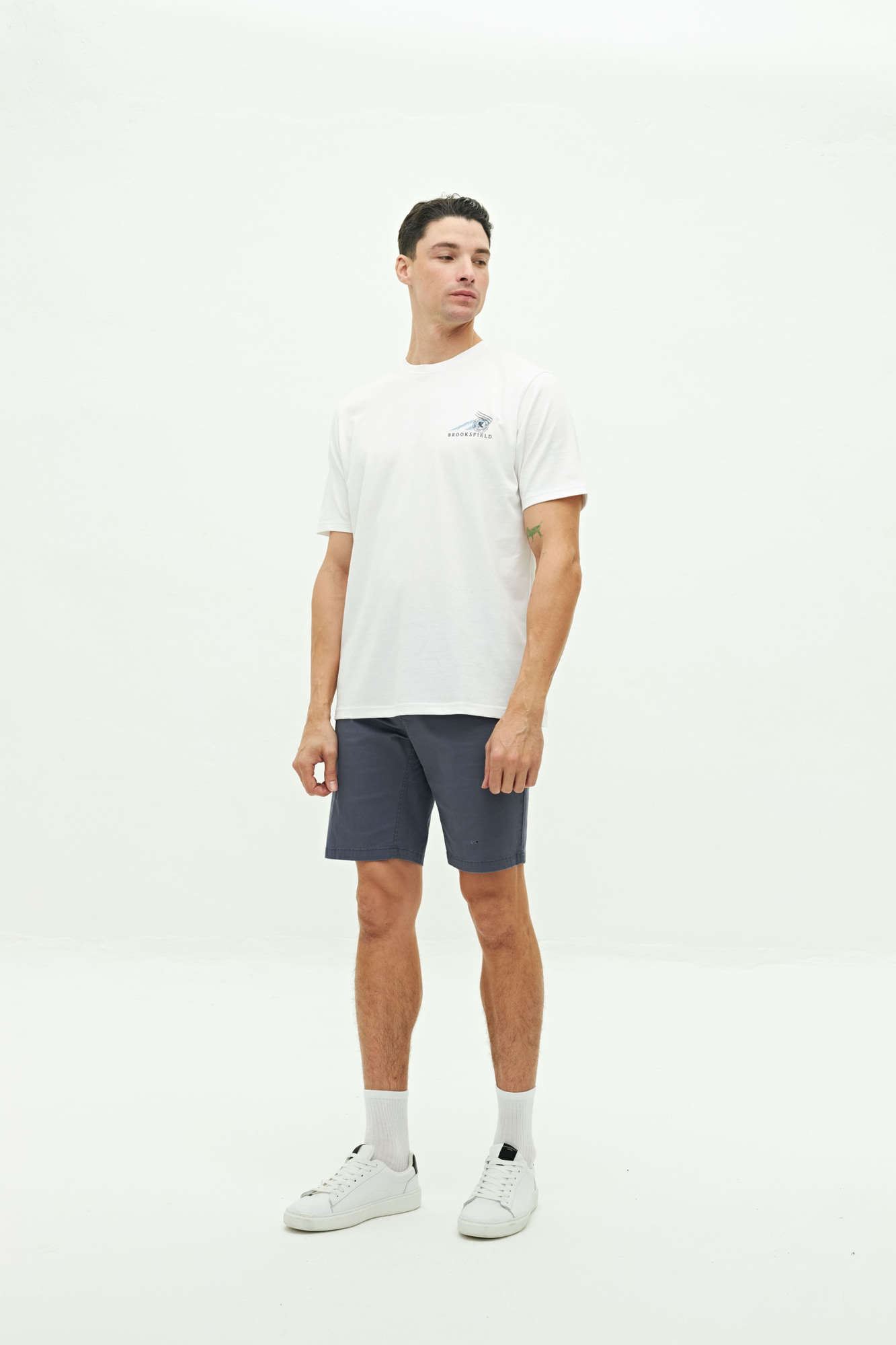 REMERA RENOIR