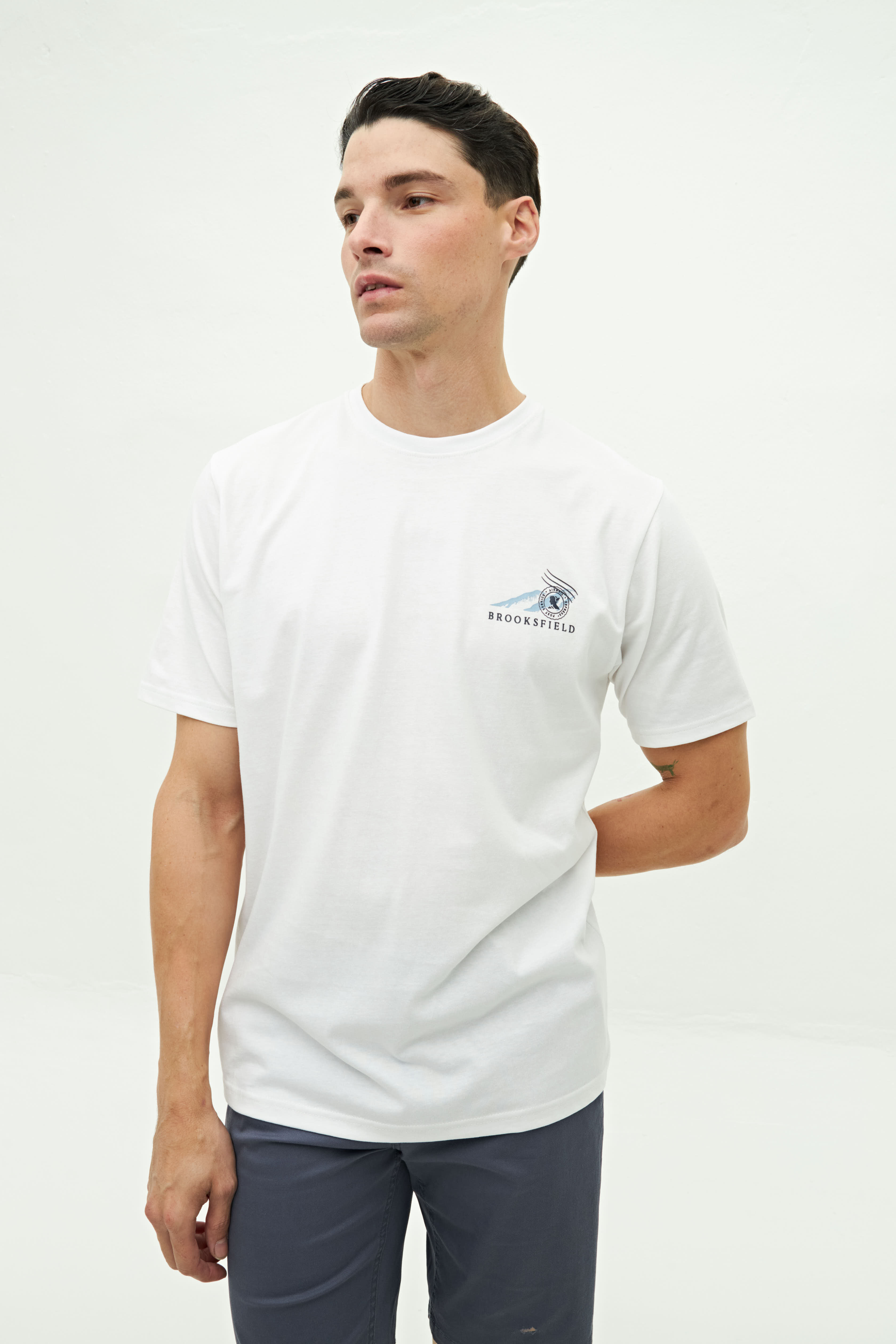 REMERA RENOIR