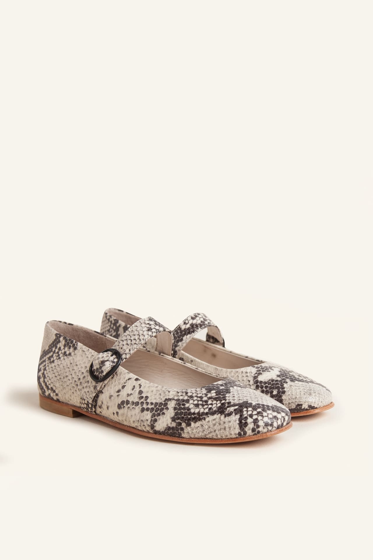 Zapato New Jules