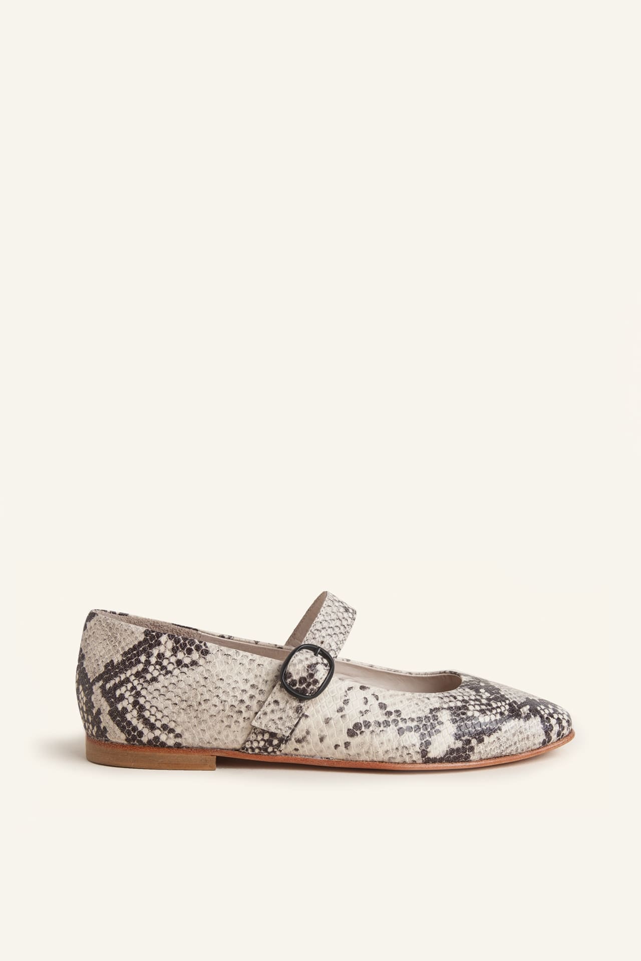 Zapato New Jules